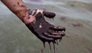 Read more about the article MediaStorm and the Oil Spill Commission launch The Gulf Spill guide