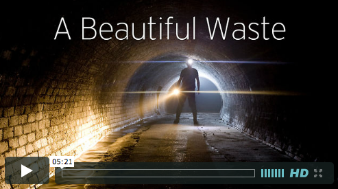 You are currently viewing Worth Watching #81: A Beautiful Waste