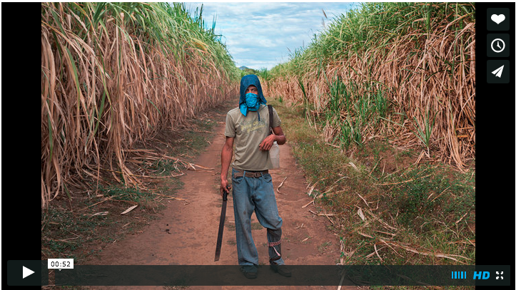 You are currently viewing Support “Island of Widows” by Ed Kashi