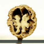Permalink to Worth Watching #161: Verschleif