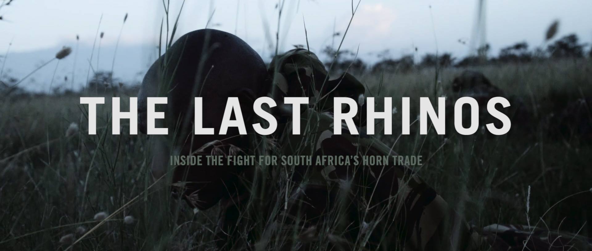 You are currently viewing Worth Watching #152: The Last Rhinos by Brian Dawson